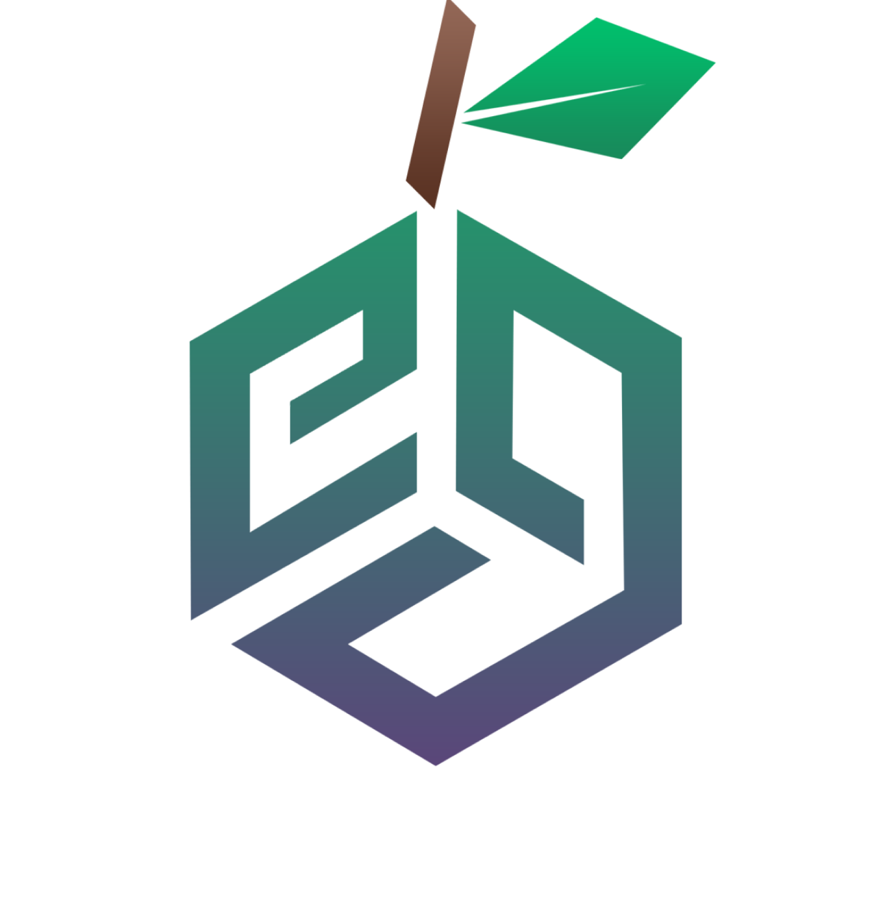 Erik Image